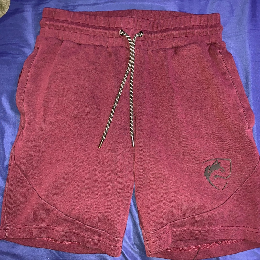 Alphalete Men’s Shorts